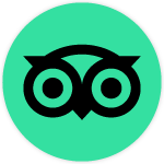 TripAdvisor Reviews